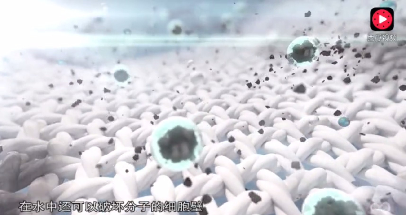 备神器 懒人超声波全自动洗鞋机 无需摩擦手洗