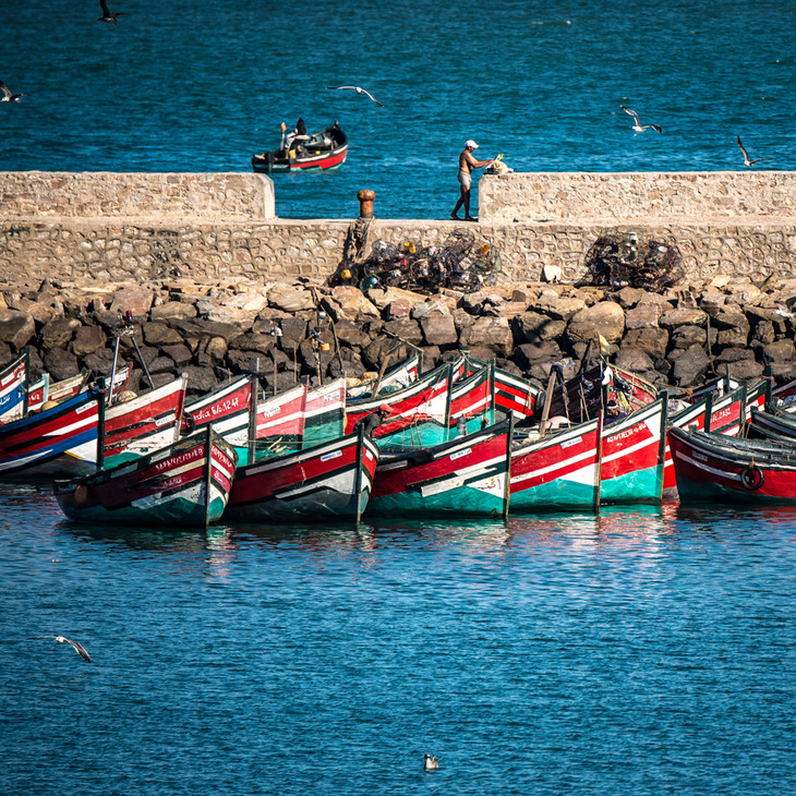摩洛哥北非风情 突尼斯蓝白小镇13/17天摄影团