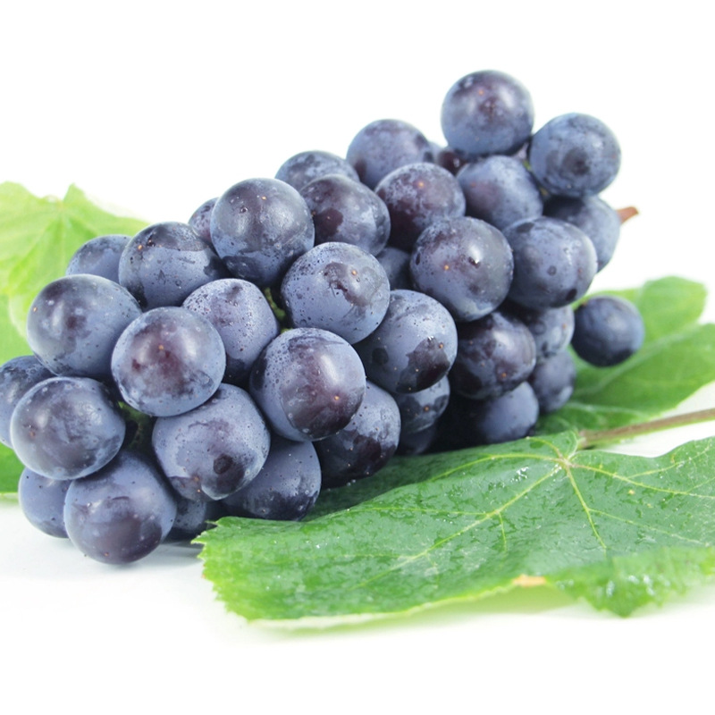 夏黑葡萄 /斤