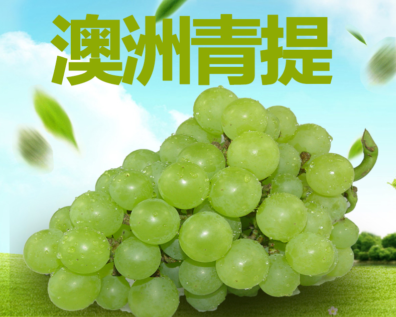 澳洲无籽青提(半斤)*