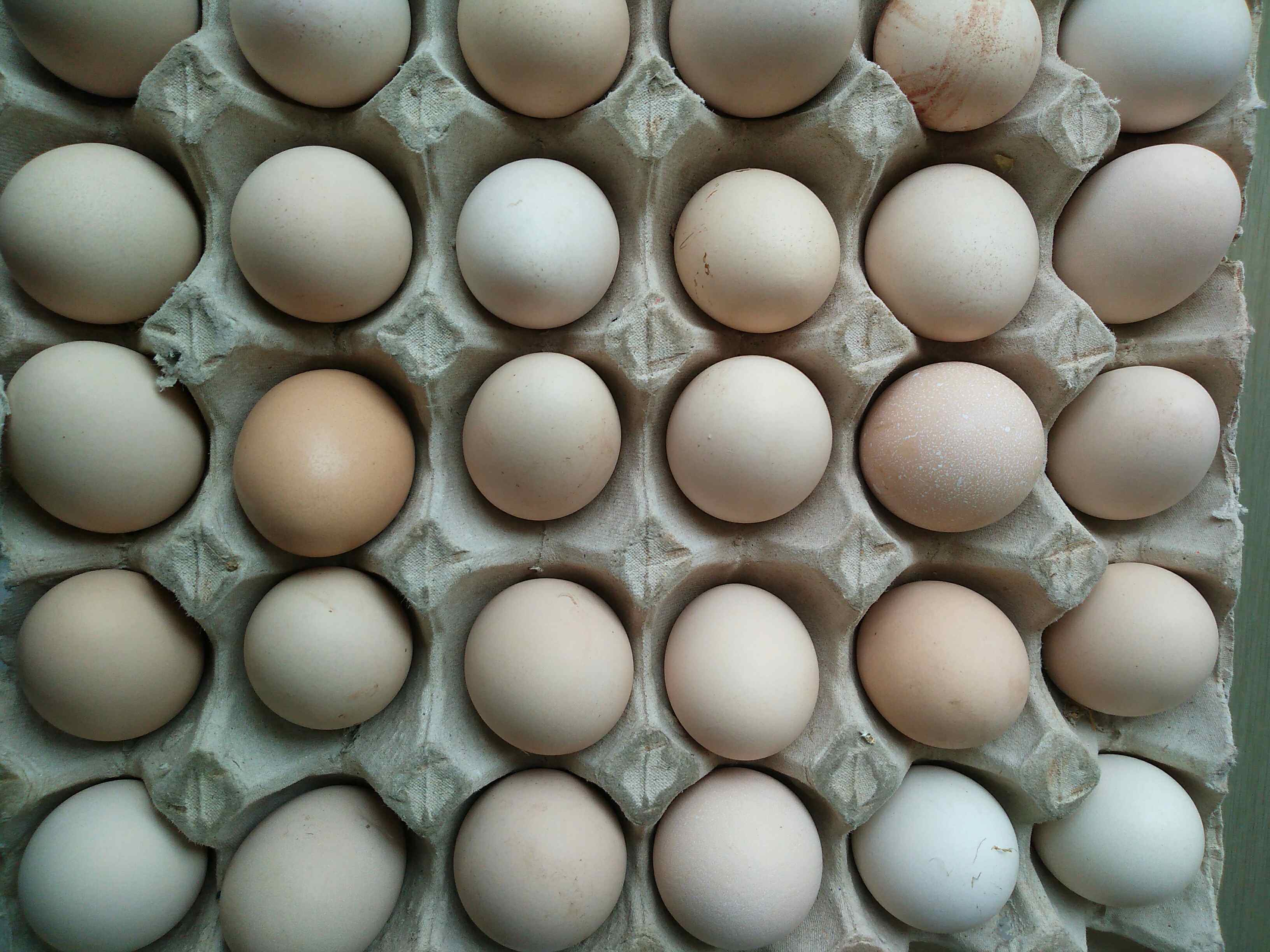 全国包邮〕自家散养柴鸡蛋,农家土鸡蛋.