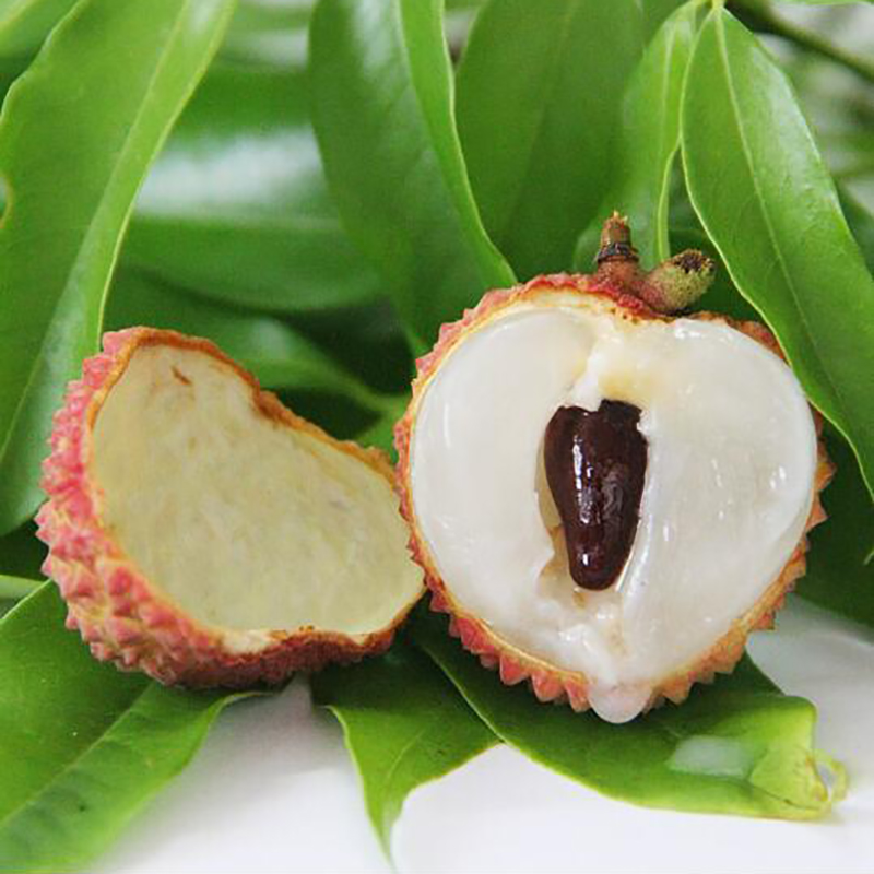 预售6月10日陆续发货 新鲜到家 | 高州荔枝 桂味 鲜甜核小肉厚,新鲜