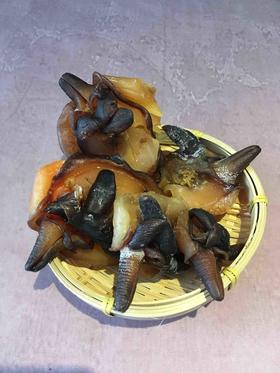 丰衣优选 湛江特大响螺头 500g