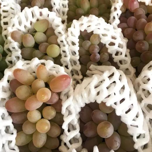 「水果优选」茉莉香提