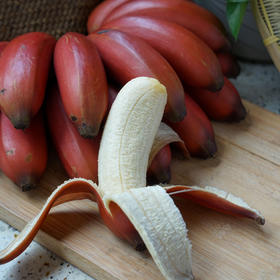 南洋红香蕉 丨 软糯香甜 营养丰富 纯天然不催熟