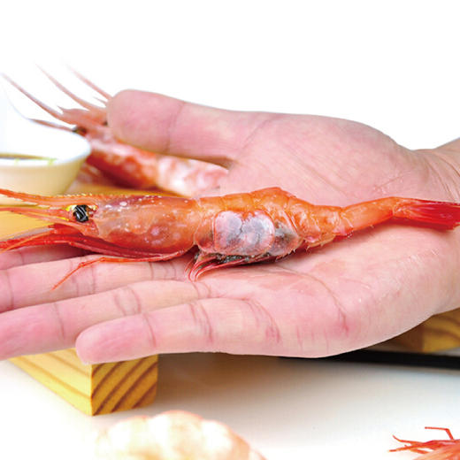 格陵兰北极甜虾(刺身)