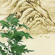 喜汉亭优艾优家210804