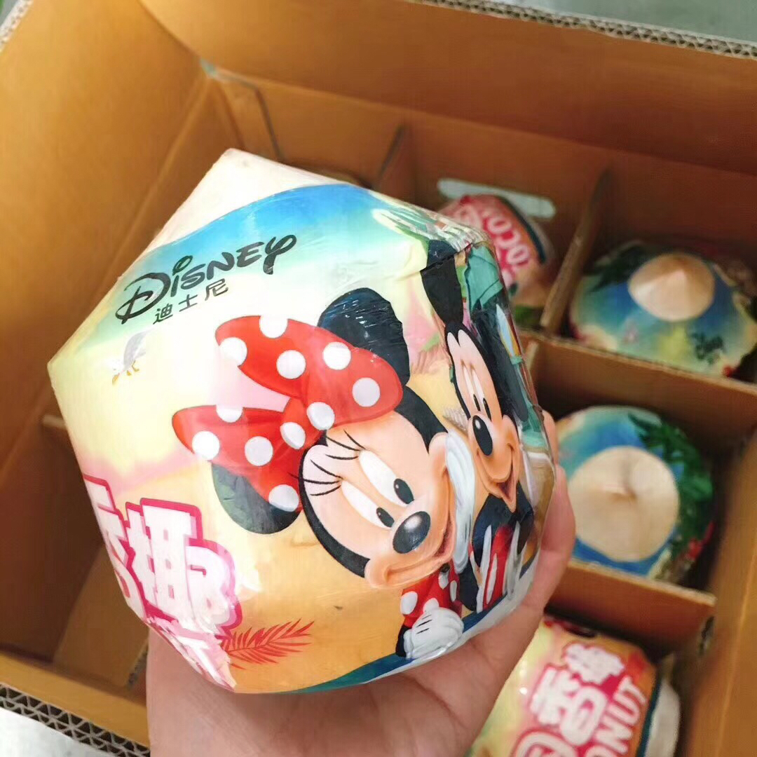 【特惠正宗迪士尼椰青】营养丰富,纯天然饮料,低糖份