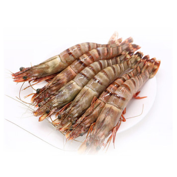 缅甸黑虎虾,25只装/kg,单价177元/500g