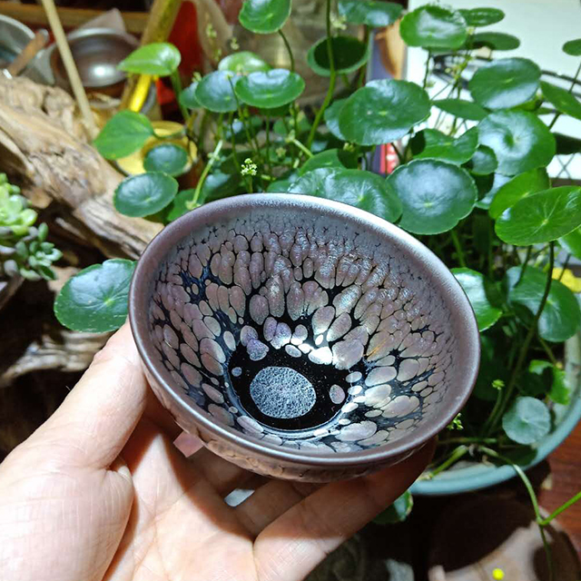 彩金油滴——林东升