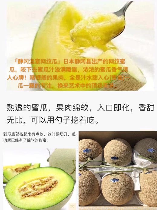 静冈温室网纹蜜瓜🍈 ——完全熟软后，浓浓的蜜瓜香气沁人心脾！一瓜一藤的专注 商品图6