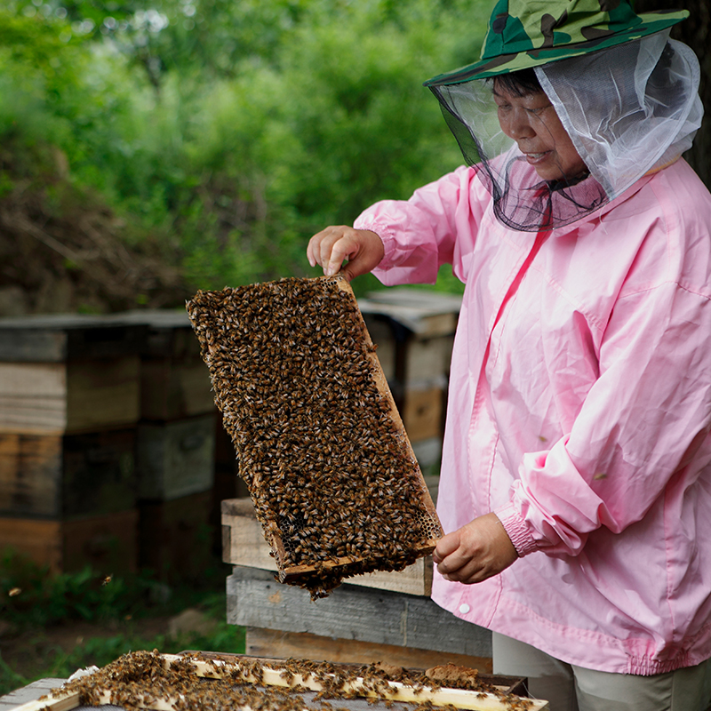 严选丨【买二送一】三倍体枣花蜂蜜 央视推荐 蜜蜂皇后37年匠心之作