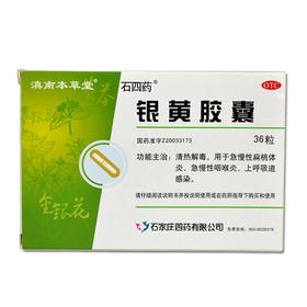 滇南本草堂 银黄胶囊 0.3g*18粒*2板