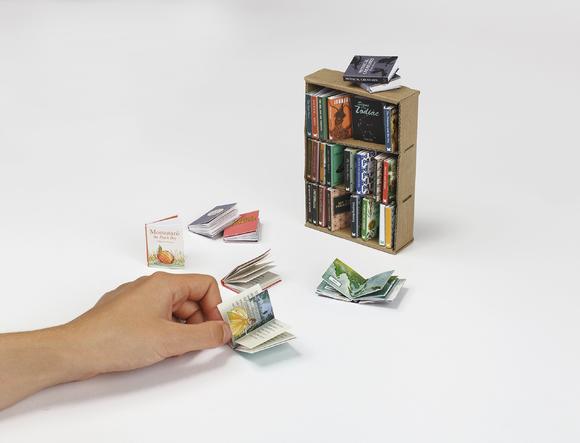 My Miniature Library 我的迷你图书馆:可以制作