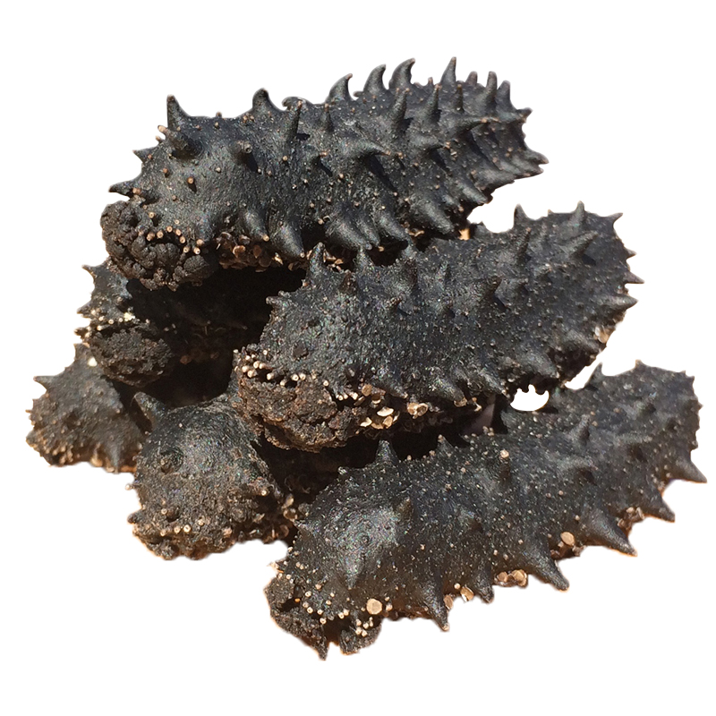 (自营)参灵岛6年淡干海参 参鲍汁 买两组再多赠送参鲍汁 包邮 参龄6年