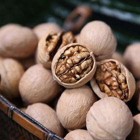 【帕米尔雪山下纯野长核桃,香浓饱满,颗颗脆甜】