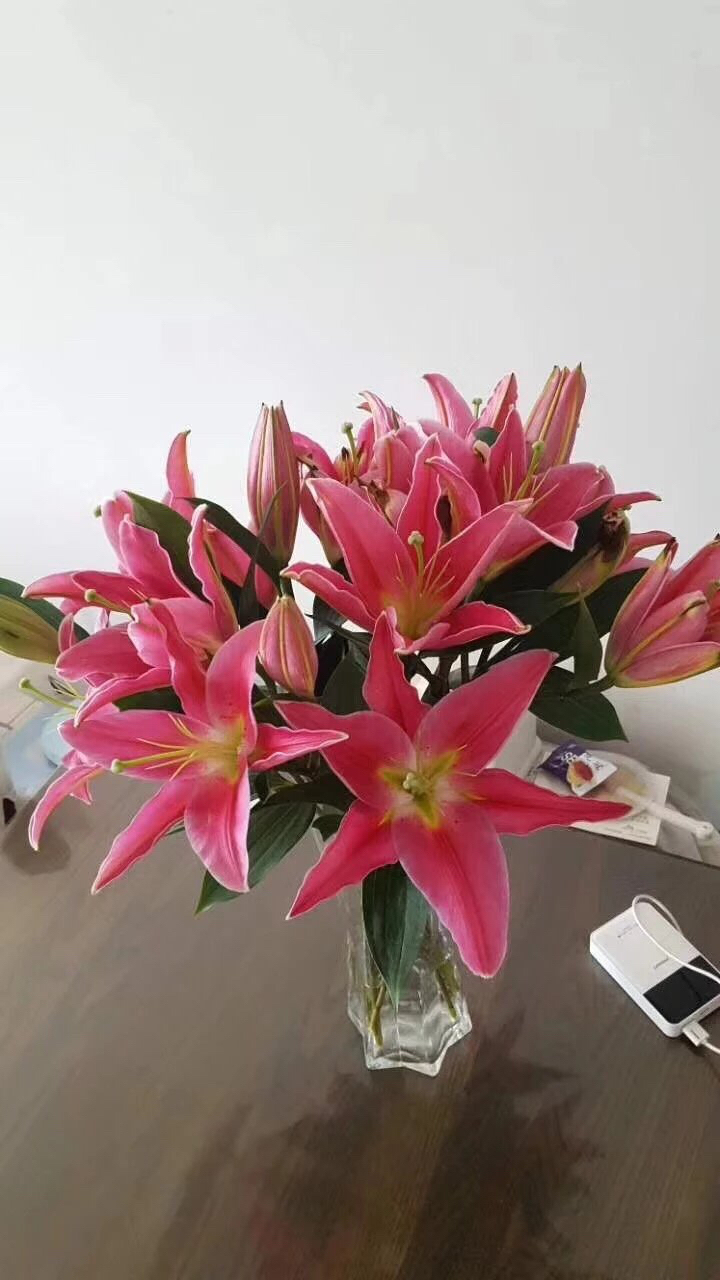 b级双头西诺红百合,一扎10支.