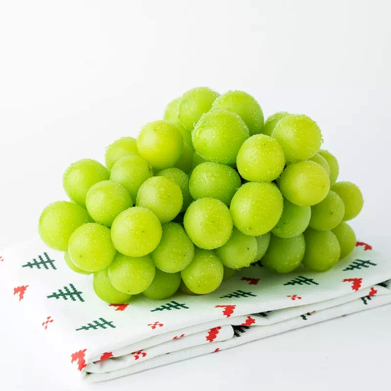 香印青提 水果中的爱马仕