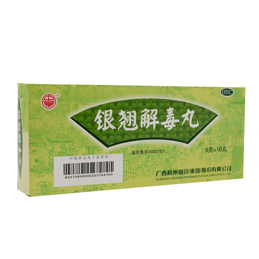 银翘解毒丸(大蜜丸)_中华_9g*10丸 商品图0