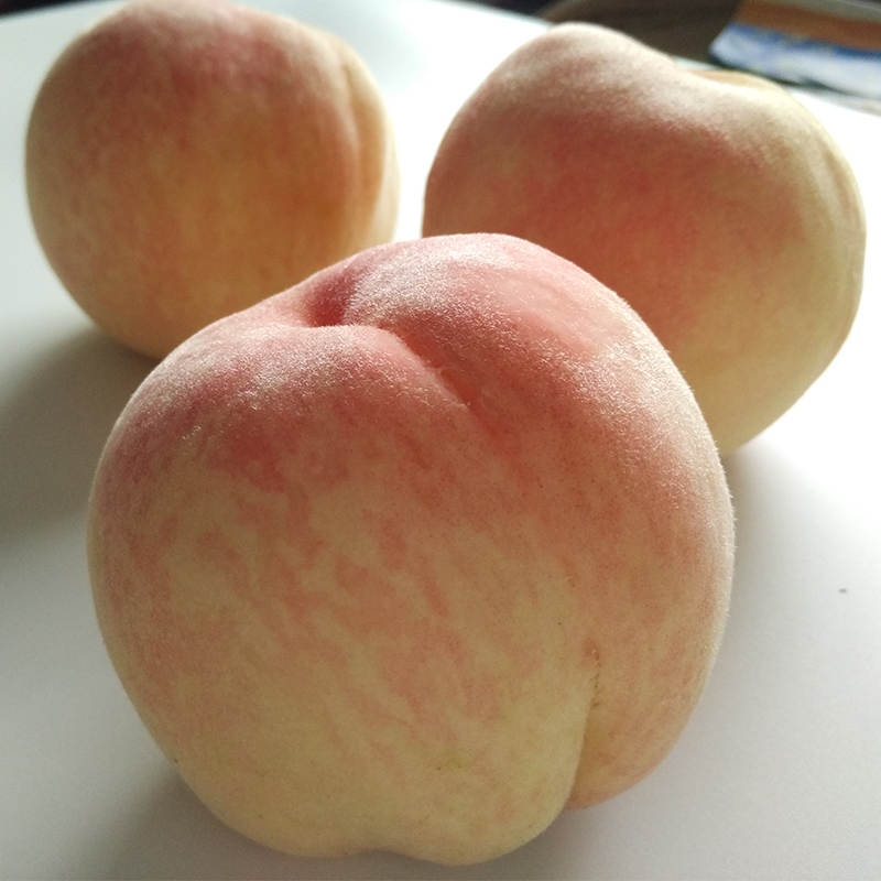 阳山水蜜桃(6月19日 12:00到货)