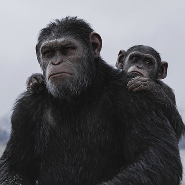 男士原 猿人棉氨纶弹力平角内裤