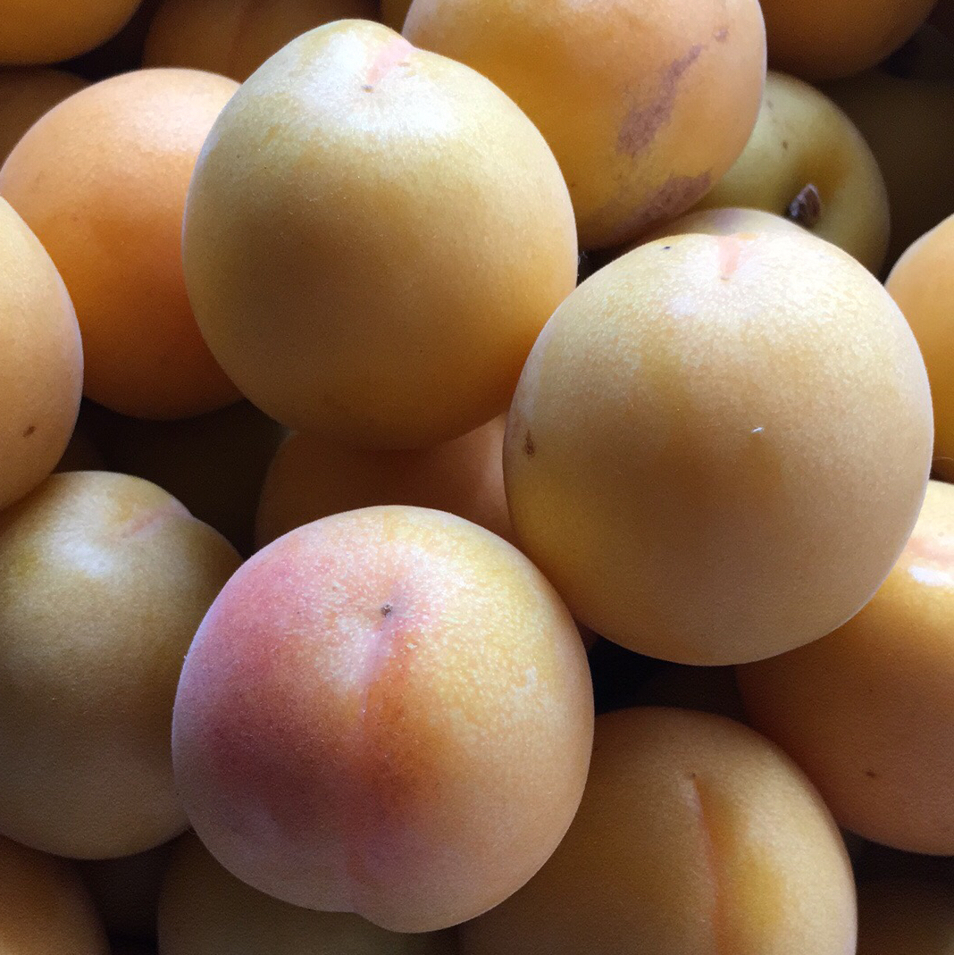 (四季金果园)新鲜的杏梅(2斤)