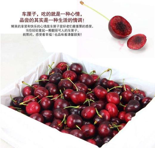 进口车厘子 商品图0