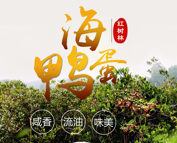 广西北部湾红树林特产烤海鸭蛋 20枚 下单后72小时内发货bmyp