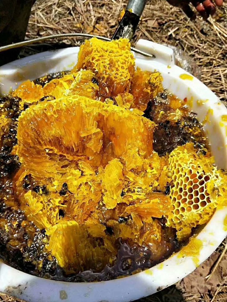 粉丝验过的崖蜜真货 悬崖上的魁宝