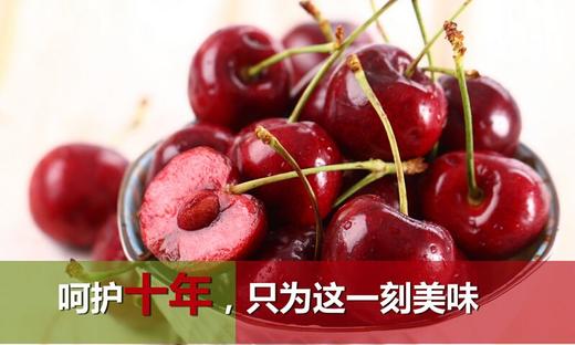 进口车厘子 商品图1