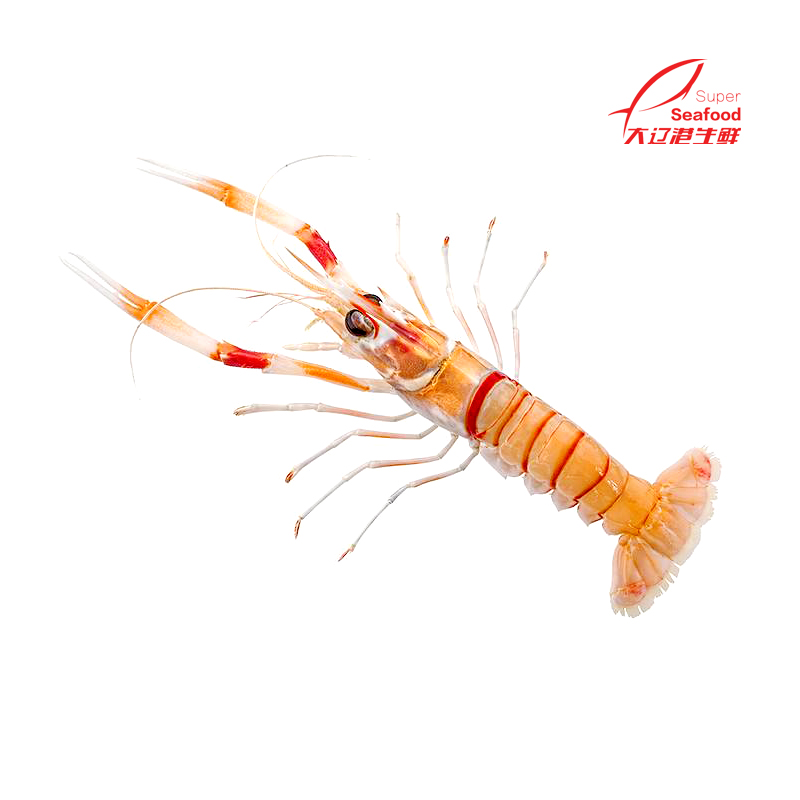 新西兰进口冷冻海鳌虾 Scampi 盒装 刺身 3号鳌虾31-40只2kg
