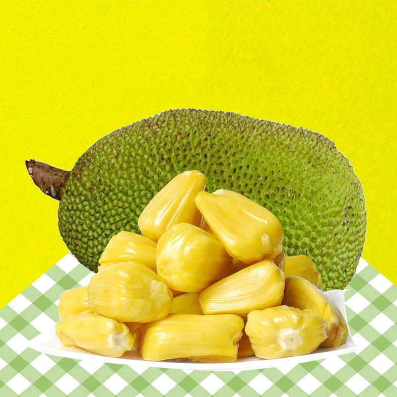 菠萝蜜一整个 20斤