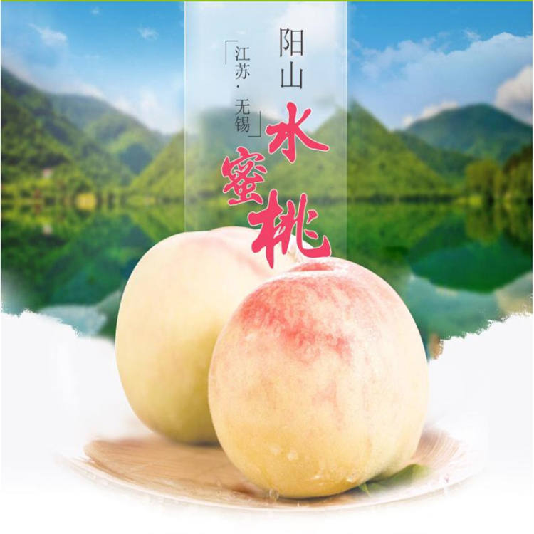 【无公害食品】散装无锡阳山水蜜桃,450g±20/份