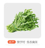 自产臭菜 商品缩略图0