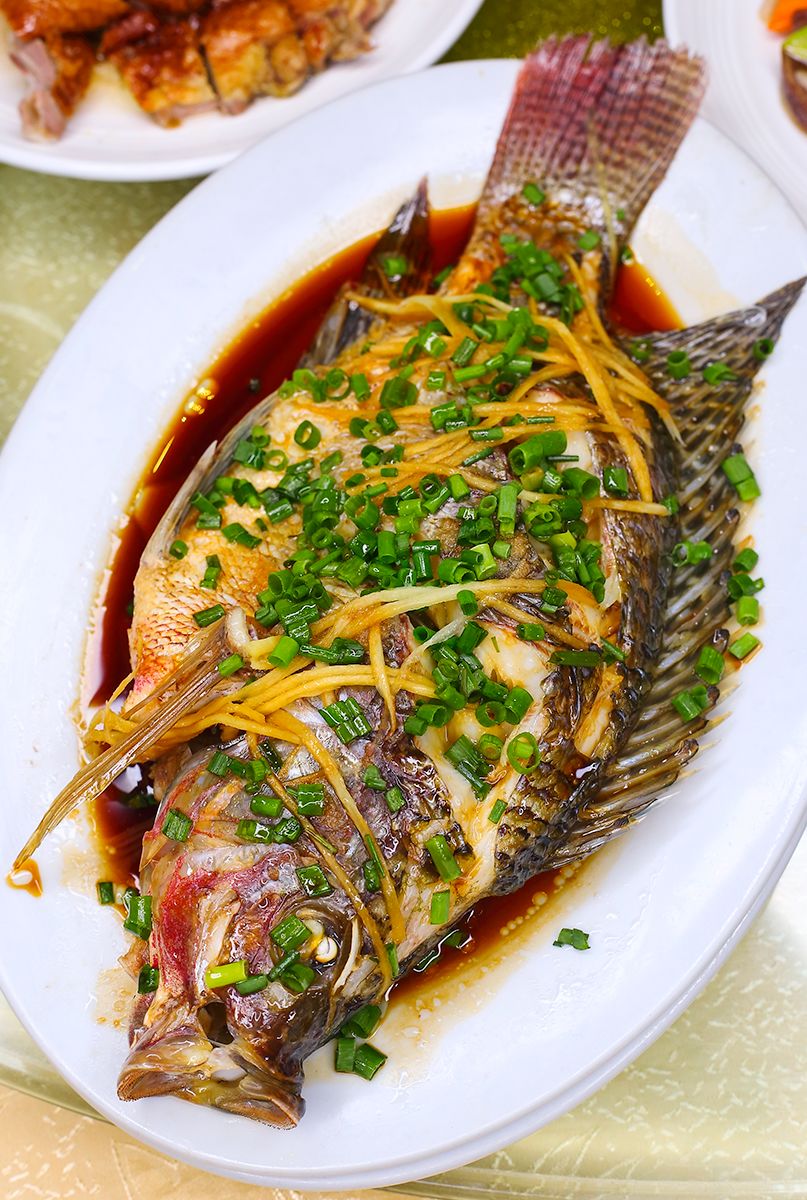 阳江这家饭店三菜一汤才58元!走,我们去吃垮它!