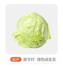 自产球生菜 商品缩略图0
