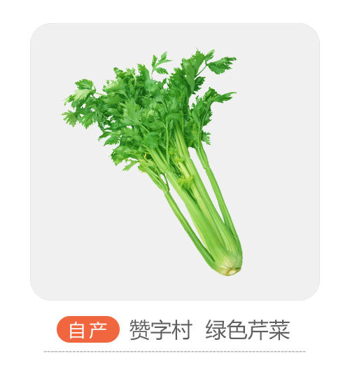 自产芹菜 商品图0