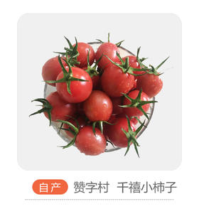 自产千禧柿子
