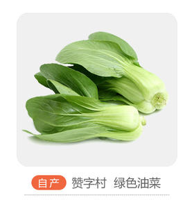 自产小油菜