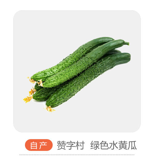 自产水黄瓜 商品图0
