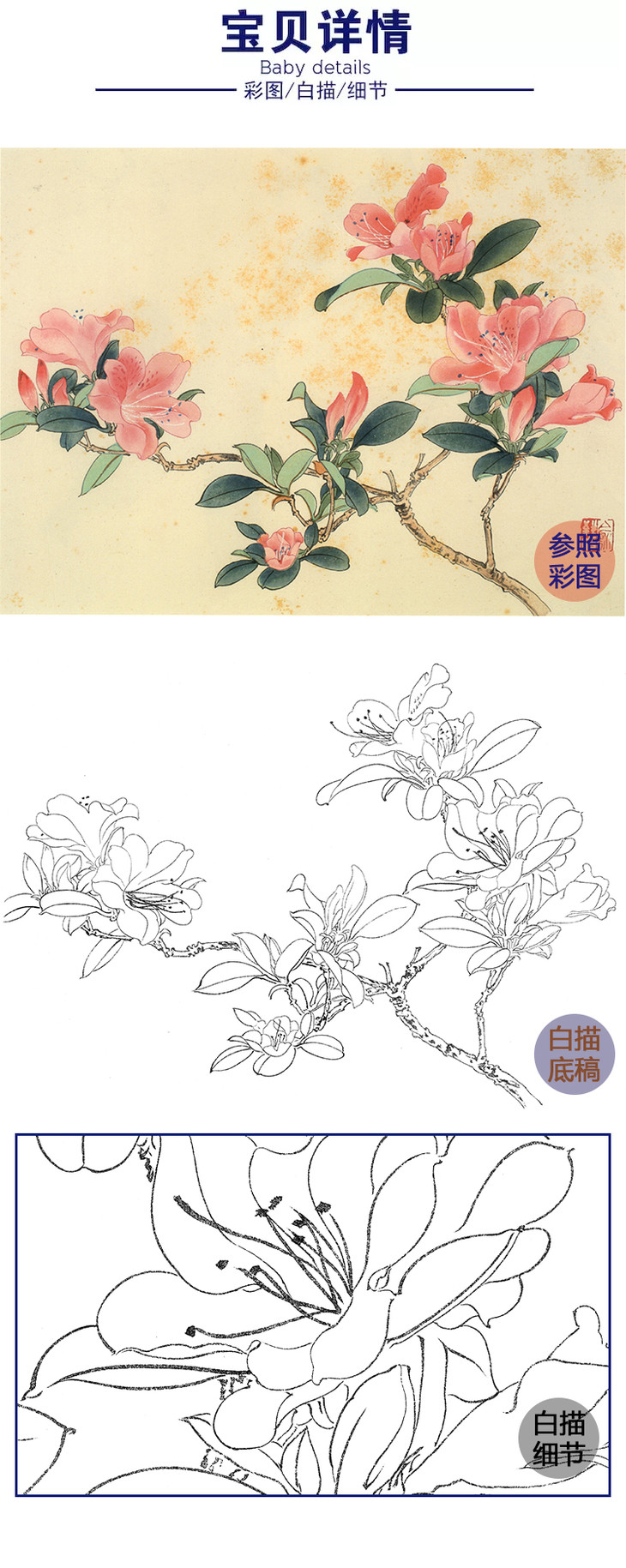 俞致贞工笔花鸟白描底稿花卉杜鹃花斗方小品册页jv53