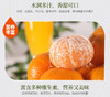 一叶子 商品缩略图0