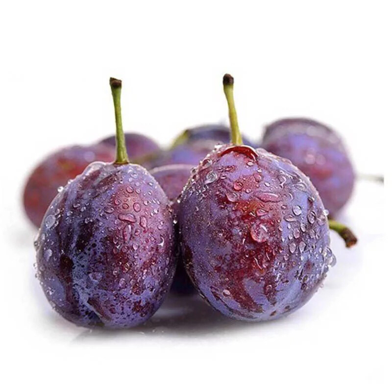 美国西梅 特大果