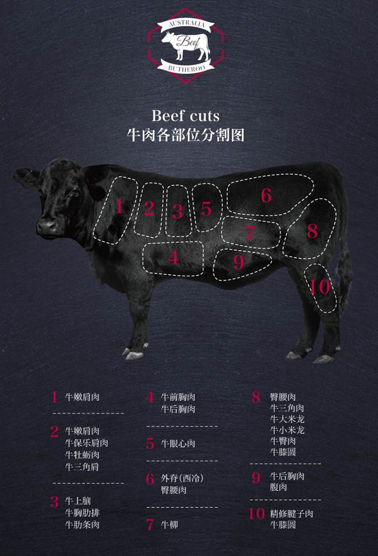 肉牛品种介绍图片大全图片