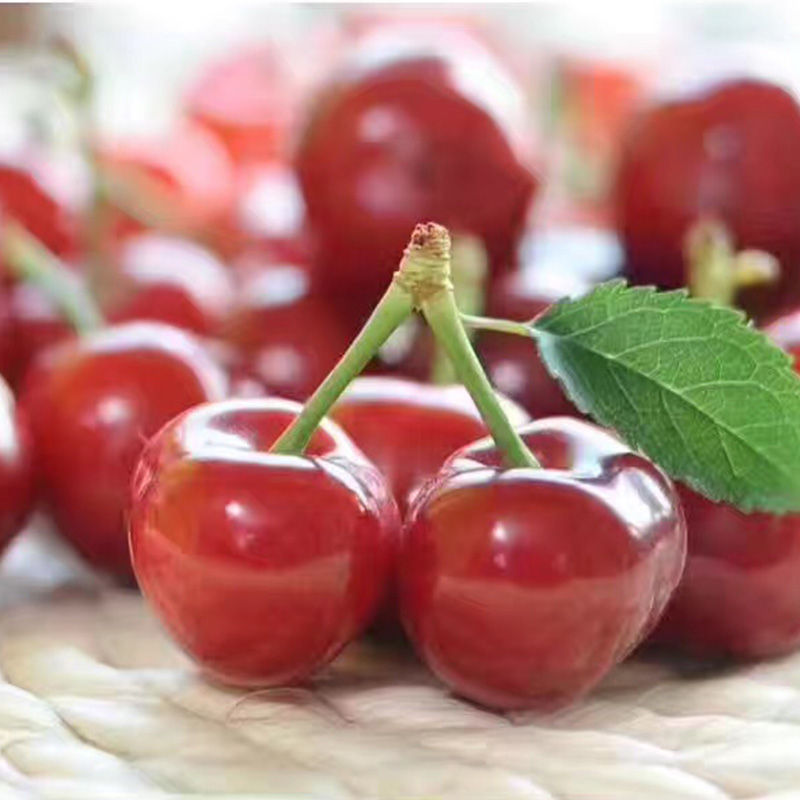 新疆莎车樱桃(6月)