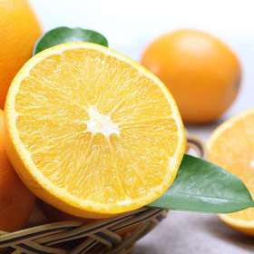 5斤血橙限时优惠