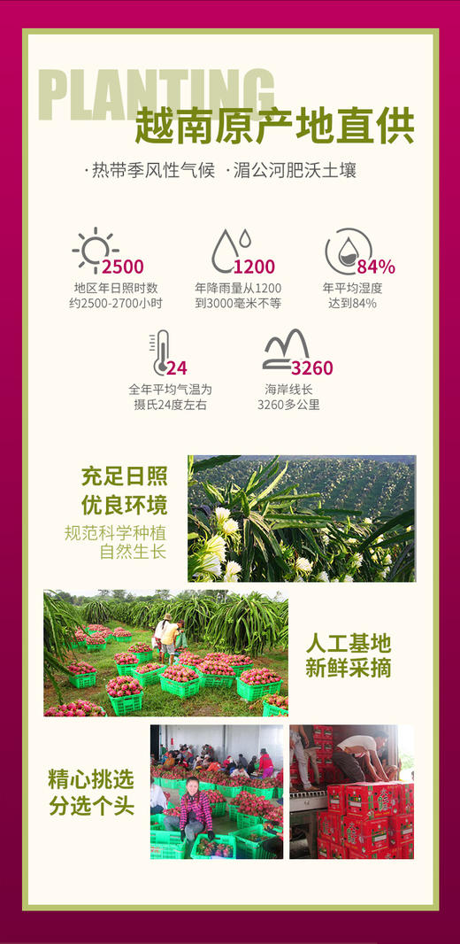 xx公司福利 商品图0