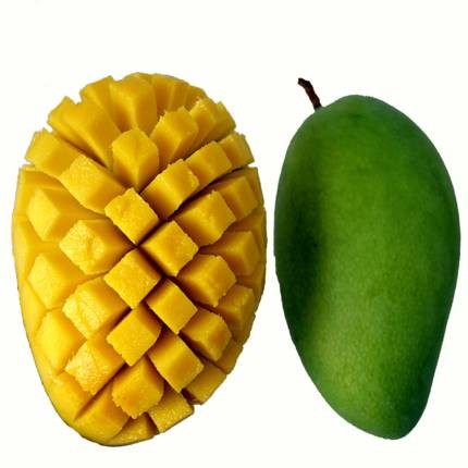 抗菌消炎:芒果未成熟的果实及树皮,茎能抑制化脓球菌,大肠杆菌等,芒果