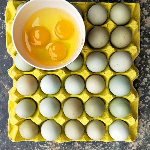 农家自产贵州铜仁江口梵净山正宗绿壳鸡蛋 30枚/件 贵州省内包邮