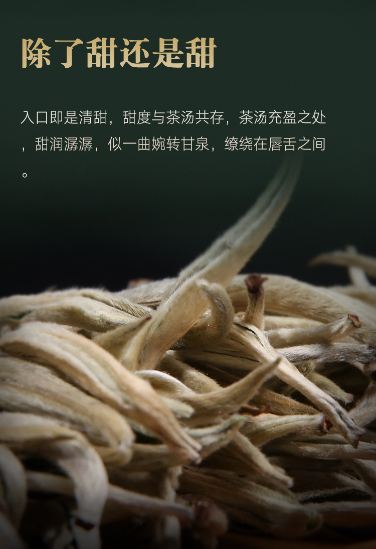 【低价回馈】吉顺号普洱银芽生茶 散茶 全芽茶 250g